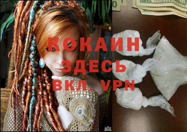 спиды Ивангород