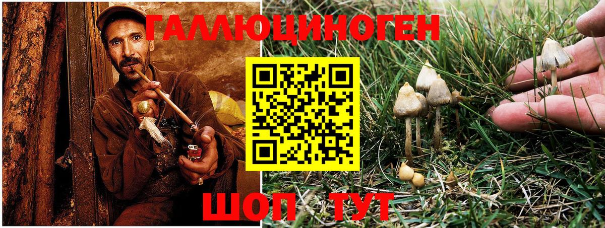 Галлюциногенные грибы MAGIC MUSHROOMS Обь