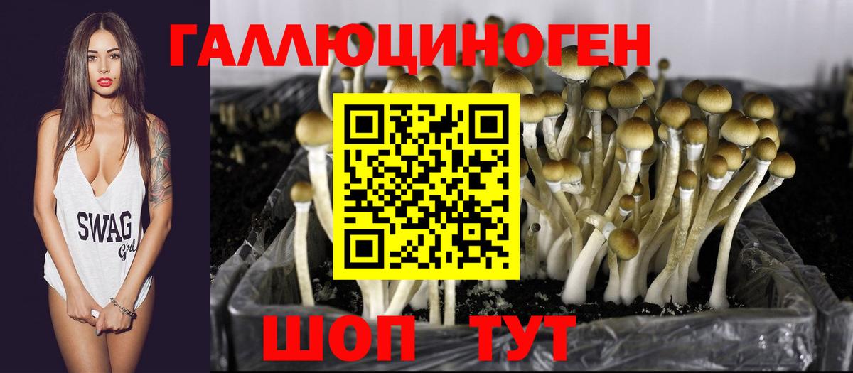 Обь  Галлюциногенные грибы мицелий  как найти закладки  Вход с VPN 